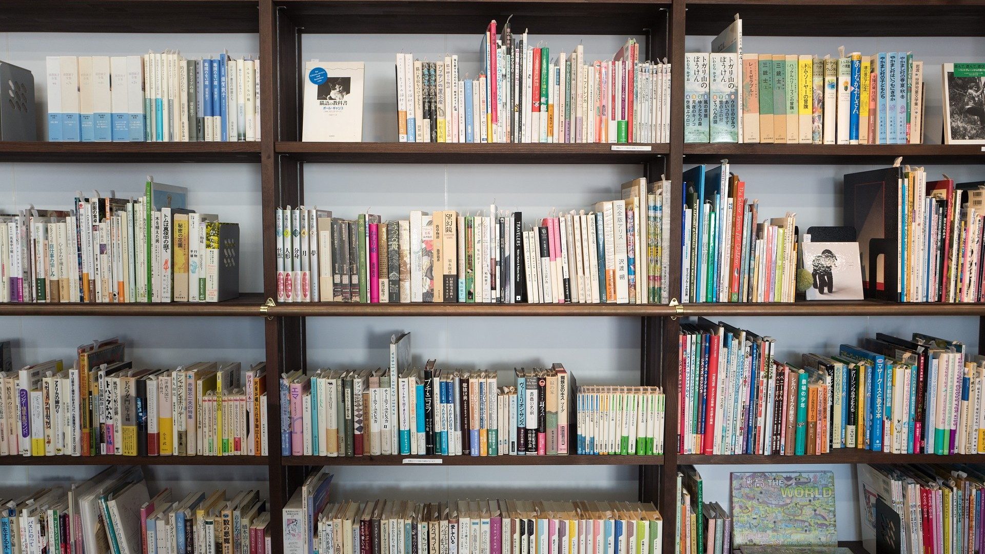 Estanterías de una biblioteca llenas de libros